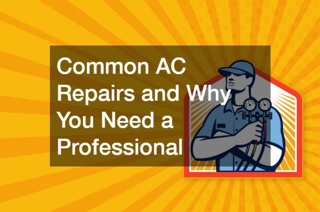 Common AC Repairs and Why You Need a Professional