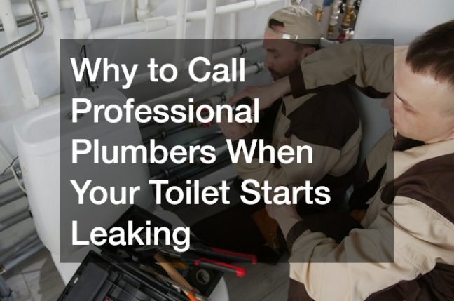 Why to Call Professional Plumbers When Your Toilet Starts Leaking
